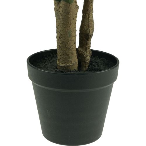 daiktų Dirbtinis augalas Philodendron Dirbtinis vazoninis augalas H60cm