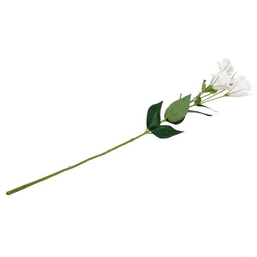 daiktų Lysianthus dirbtinė gėlė balta L87,5cm