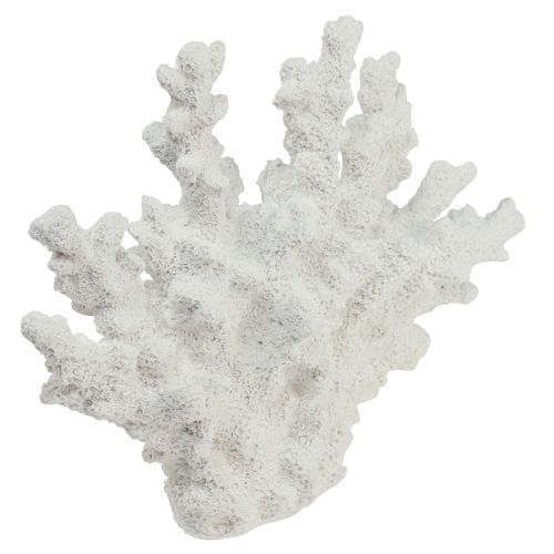 daiktų Jūrinė dekoracija koralų polirezino balta 18,5×26cm