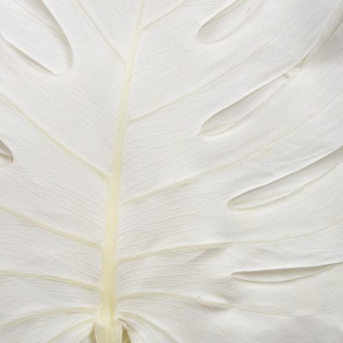 daiktų Išblukę monsteros lapai, dekoratyvinis lango lapas, 40 cm aukščio, 5 vnt.