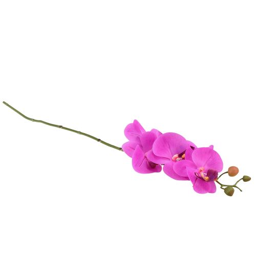 daiktų Dirbtinė orchidėja Phalaenopsis Orchid Pink 78cm