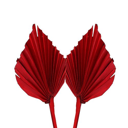 Palmspear mini red 100 vnt