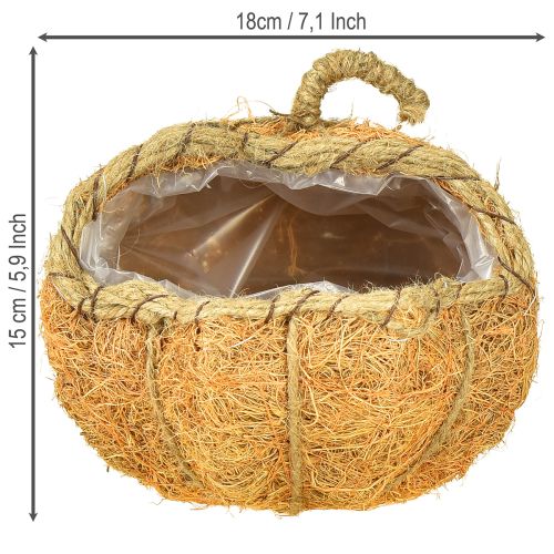 daiktų Augalų krepšelis moliūgas su folijos rudens dekoracija oranžinis Ø18cm A15cm