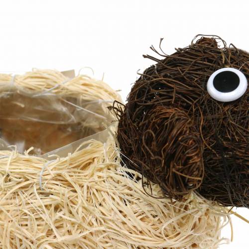 daiktų Sodinti vazoną avies vynmedis rudas balintas 35×14cm H26cm