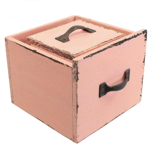 Floristik24 Augalų stalčius augalų dėžutės medis Persikas 12,5/16cm rinkinys po 2