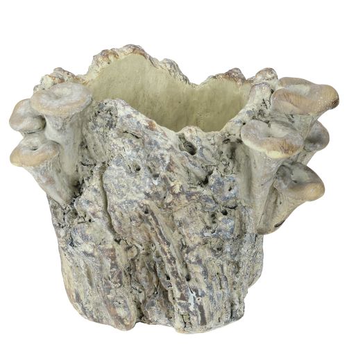 daiktų Vazonas iš lieto akmens su grybais, medžio kelmas, 16 cm
