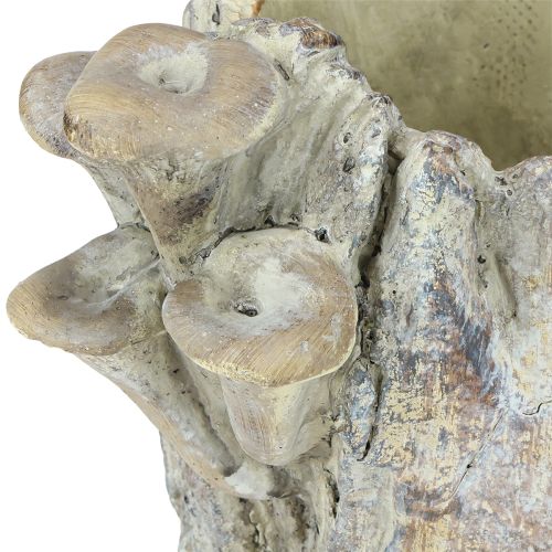 daiktų Vazonas iš lieto akmens su grybais, medžio kelmas, 16 cm