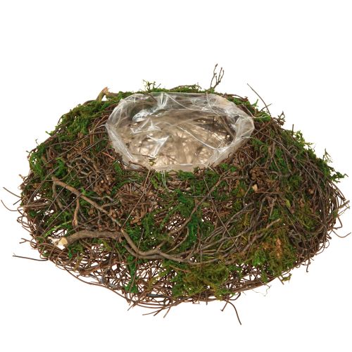 daiktų Apvalus sodinimo dubuo, pagamintas iš vynuogių, su samanomis ir folija dekoravimui