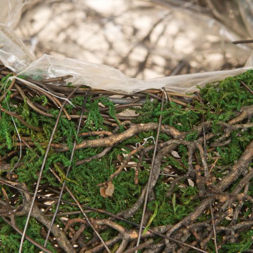 daiktų Apvalus sodinimo dubuo, pagamintas iš vynuogių, su samanomis ir folija dekoravimui