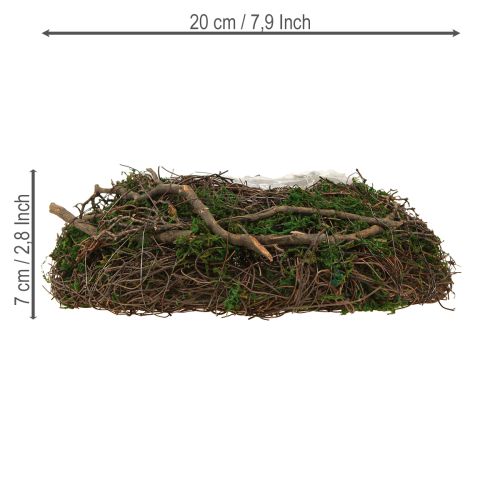 daiktų Apvalus sodinimo dubuo, pagamintas iš vynuogių, su samanomis ir folija dekoravimui