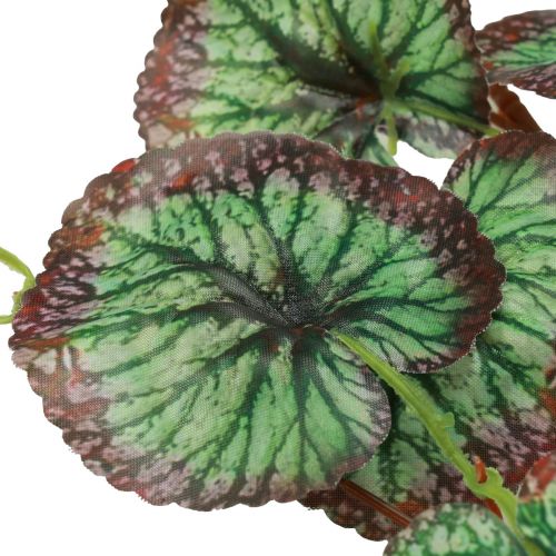 daiktų Saxifrage dekoratyvinė girlianda dirbtinė žalia Saxifraga 152cm