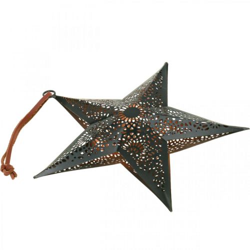 daiktų Kalėdinė kabykla Star Metal Star Black H19cm