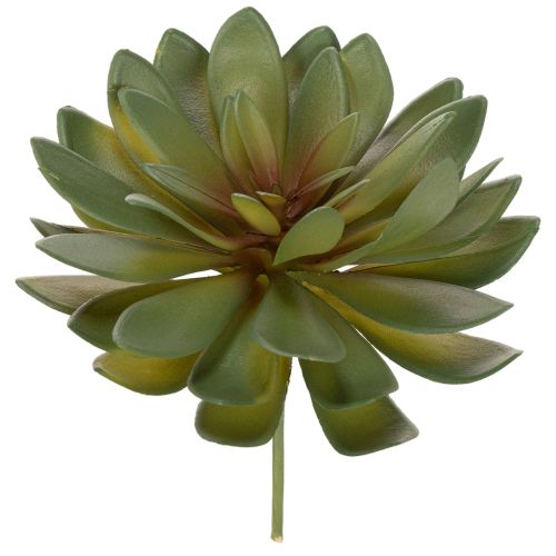 daiktų Dirbtinis sukulentas kaip dekoratyvinis augalas, žalias, 18 cm, 3 vnt.