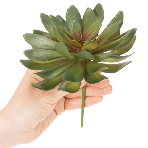 daiktų Dirbtinis sukulentas kaip dekoratyvinis augalas, žalias, 18 cm, 3 vnt.