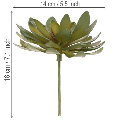 daiktų Dirbtinis sukulentas kaip dekoratyvinis augalas, žalias, 18 cm, 3 vnt.