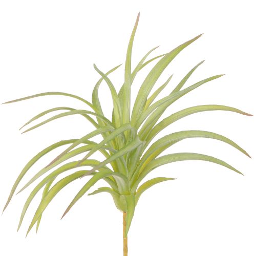 Tillandsia Green dirbtiniai augalai su lazdele Ø17cm 3vnt