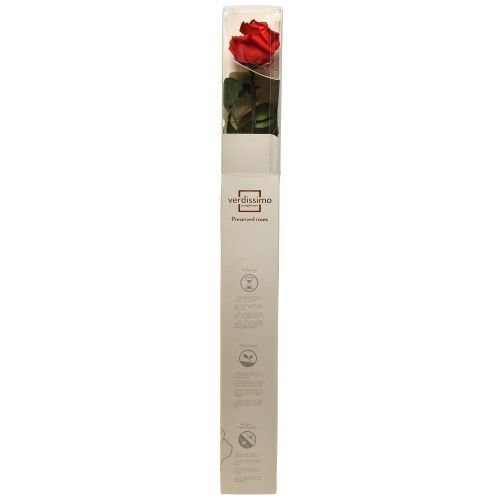 daiktų Infinity Rose su konservuotais lapais Amorosa Red L54cm