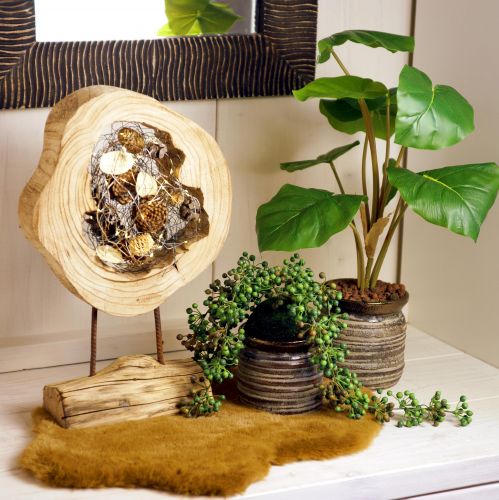 Kaimiškas medinis žiedas ant stovo - Natūralus medžio grūdas, 54 cm - Unikali skulptūra stilingai gyvenamajai aplinkai