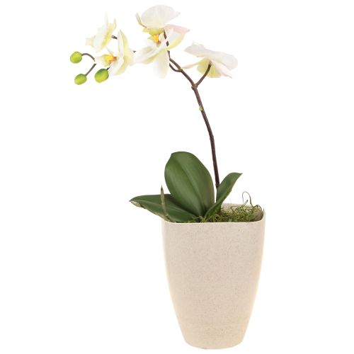 Orchidėjų vazonas gėlių vazonas plastikinis smėlio spalvos margas 13,5x13cm A16,5cm 4vnt.