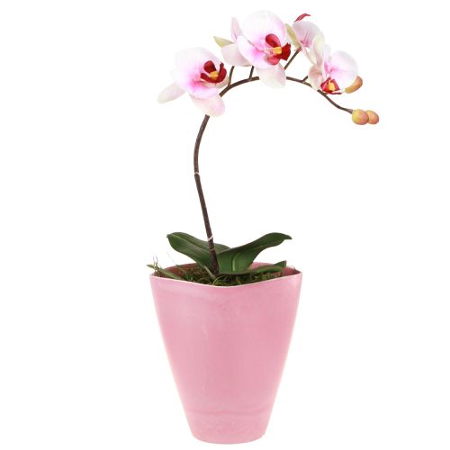 Vazonas plastikinis vaza orchidėjų vazonas rožinis H16,5cm 4vnt