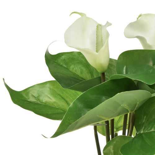 daiktų Calla Lely Kalla Dirbtinės Gėlės Baltos Egzotiškos Gėlės 34cm