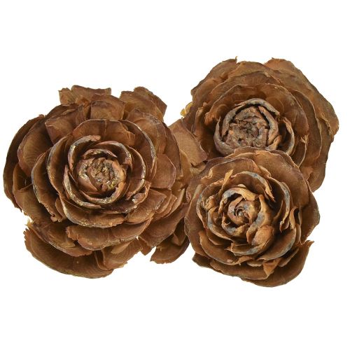 Kūgiai iš kedro supjaustyti kaip rožių kedro rožė 4-6cm natūralus 50 vnt.