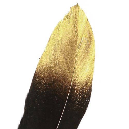 daiktų Dekoratyvinės plunksnos juodo aukso tikros žąsies plunksnos 15-20cm 50vnt