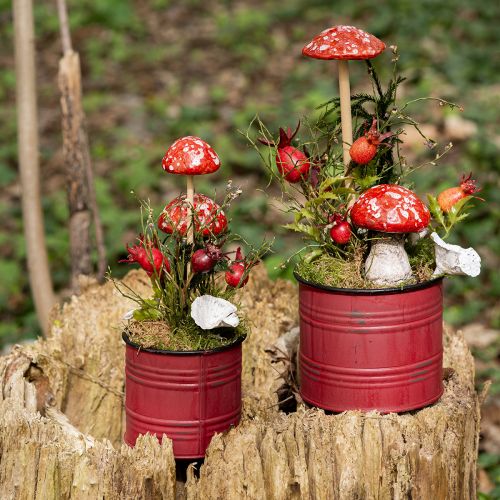 Floristik24 Rupūžės ant pagaliuko, raudonos, 5,5 cm, rinkinys iš 6 - dekoratyviniai rudeniniai grybai sodui ir namams
