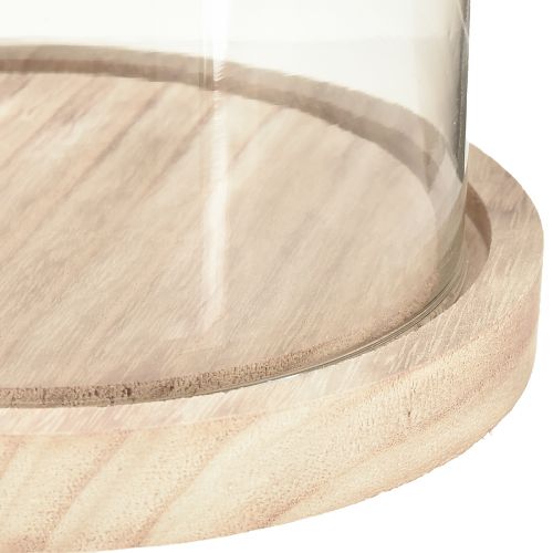 daiktų Stiklinis varpas ovalus medinis pagrindas stiklinis sąramas skaidrus natūralus Ø17cm H24cm