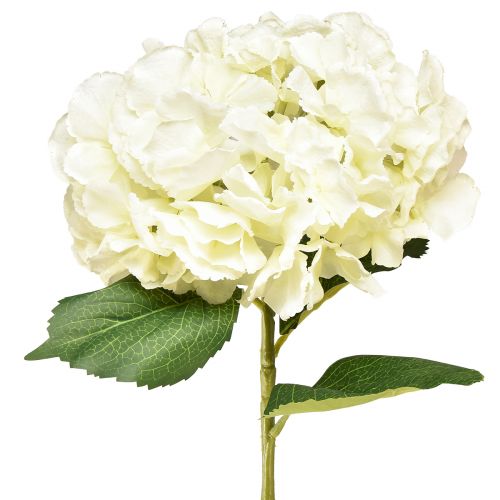 daiktų Dirbtinė hortenzija Gigant dekoratyvinė gėlė lašiša Ø23cm L84cm