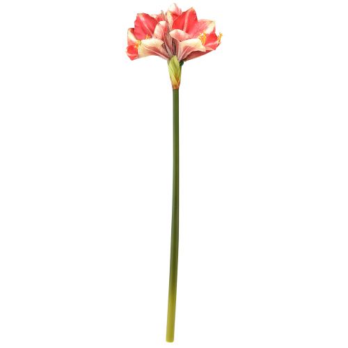 daiktų Dirbtinis Amaryllis Pink ir Cream – didelė stiebo gėlė 76cm