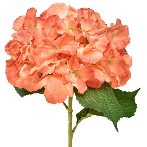 Dirbtinė hortenzija Gigant dekoratyvinė gėlė lašiša Ø23cm L84cm