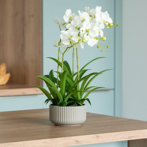 Dirbtinės orchidėjų dirbtinės gėlės vazone baltas 60cm