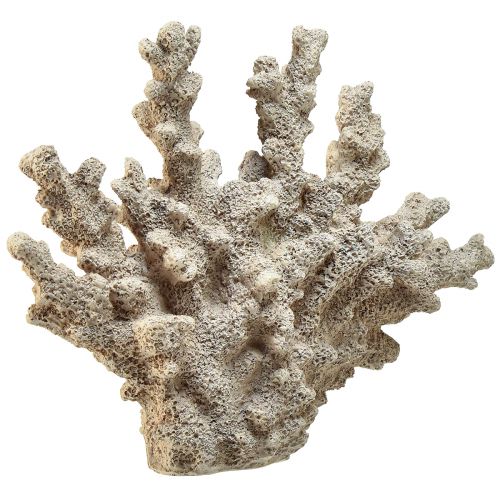 daiktų Detali koralų apdaila iš polirezino pilkos spalvos - 26 cm - jūrinė elegancija jūsų namams