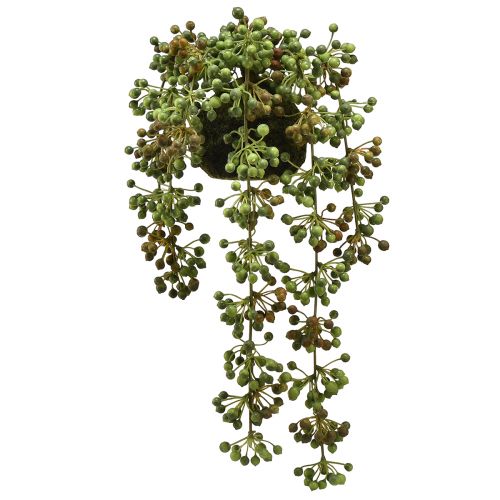 Floristik24 Žaliųjų augalų dirbtinių perlų virvelė samanų rutulyje 38cm