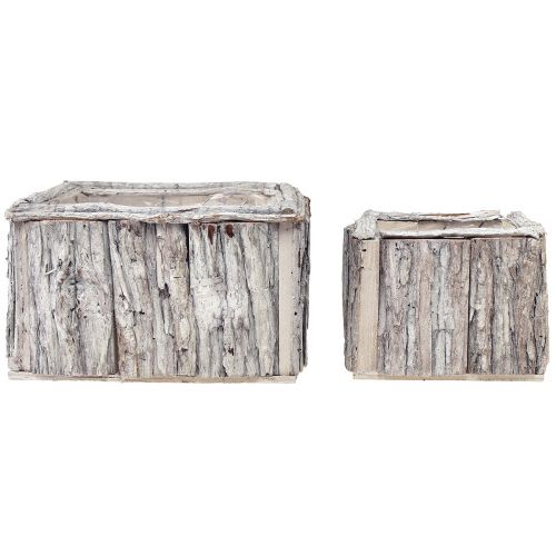 daiktų Augalinės dėžutės mediena su žieve natūraliai balta 17/24cm rinkinys iš 2 vnt