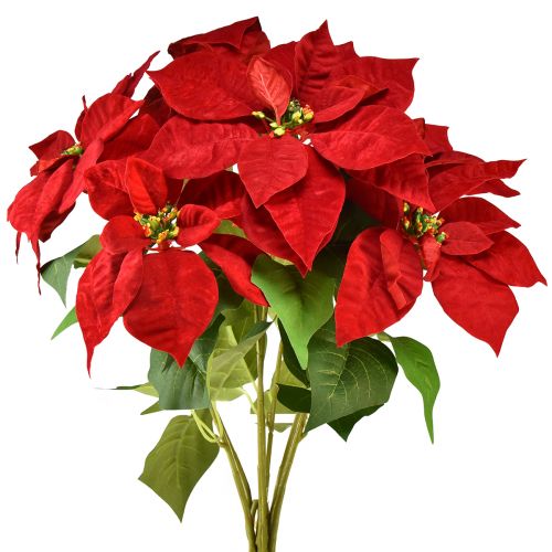 Poinsettia Dirbtinė Kalėdų žvaigždė Raudona Žalia L57cm