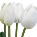 Floristik24 Baltos tulpės Dekoracija Real Touch Dirbtinės gėlės Pavasaris 49cm 5vnt