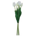 Floristik24 Baltos tulpės Dekoracija Real Touch Dirbtinės gėlės Pavasaris 49cm 5vnt