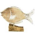 Floristik24 Dekoratyvinis žuvies medinis stovas ant šaknies jūrinės dekoracijos 27cm