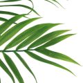 Floristik24 Dirbtinės palmės lapeliai Dirbtiniai žalieji augalai 56cm 3vnt