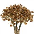 Floristik24 Gypsophila dirbtinė ruda rudeninei puokštei 29,5cm 18psl