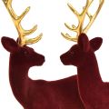 Floristik24 Deer Deco šiaurės elniai Bordeaux Gold Calf Flocked 20 cm rinkinys iš 2
