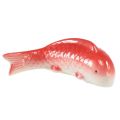 Floristik24 Koi dekoratyvinė žuvis keraminė raudona balta plaukiojanti 15cm 3vnt