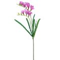 Floristik24 Dirbtinės sodo gėlės frezijos violetinės 58cm