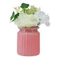 Floristik24 Dirbtinė rožė stikliniame vazonėlyje rožinė balta H16cm 2vnt