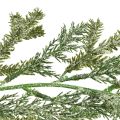 Floristik24 Natūralios eglės girliandos ilgis 180 cm - puikiai tinka šventiniam interjerui, gaivi žalia, ideali Kalėdoms ir šventėms