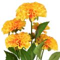 Floristik24 Dirbtinės gėlės dekoratyviniai jurginai dirbtiniai geltoni oranžiniai 50cm