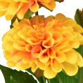 Floristik24 Dirbtinės gėlės dekoratyviniai jurginai dirbtiniai geltoni oranžiniai 50cm
