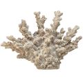 Floristik24 Detali koralų apdaila iš polirezino pilkos spalvos - 26 cm - jūrinė elegancija jūsų namams